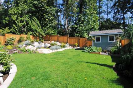 backyard drain