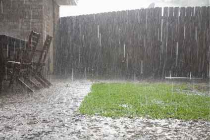 Yard Drainage Solutions Near Me: A Homeowner's Guide