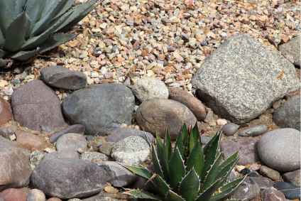 dry landscape style