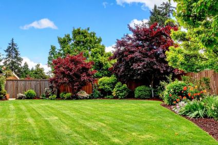 evergreen privacy landscape