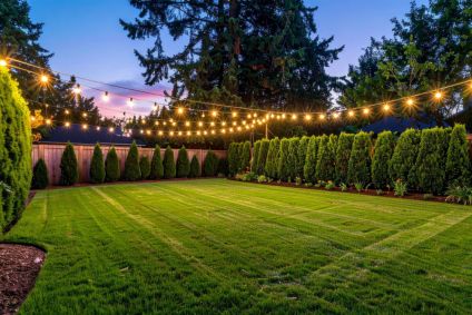 Backyard landscape garden