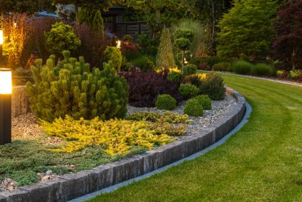evergreen backyard landscape bed