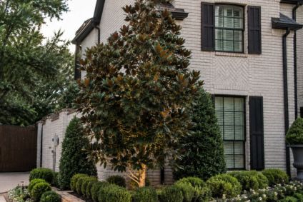 Finding the Best Landscaping Design Companies