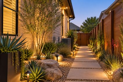 desert style side yard