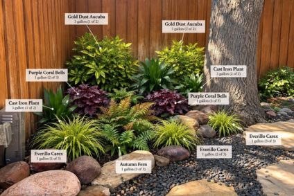 landscape design