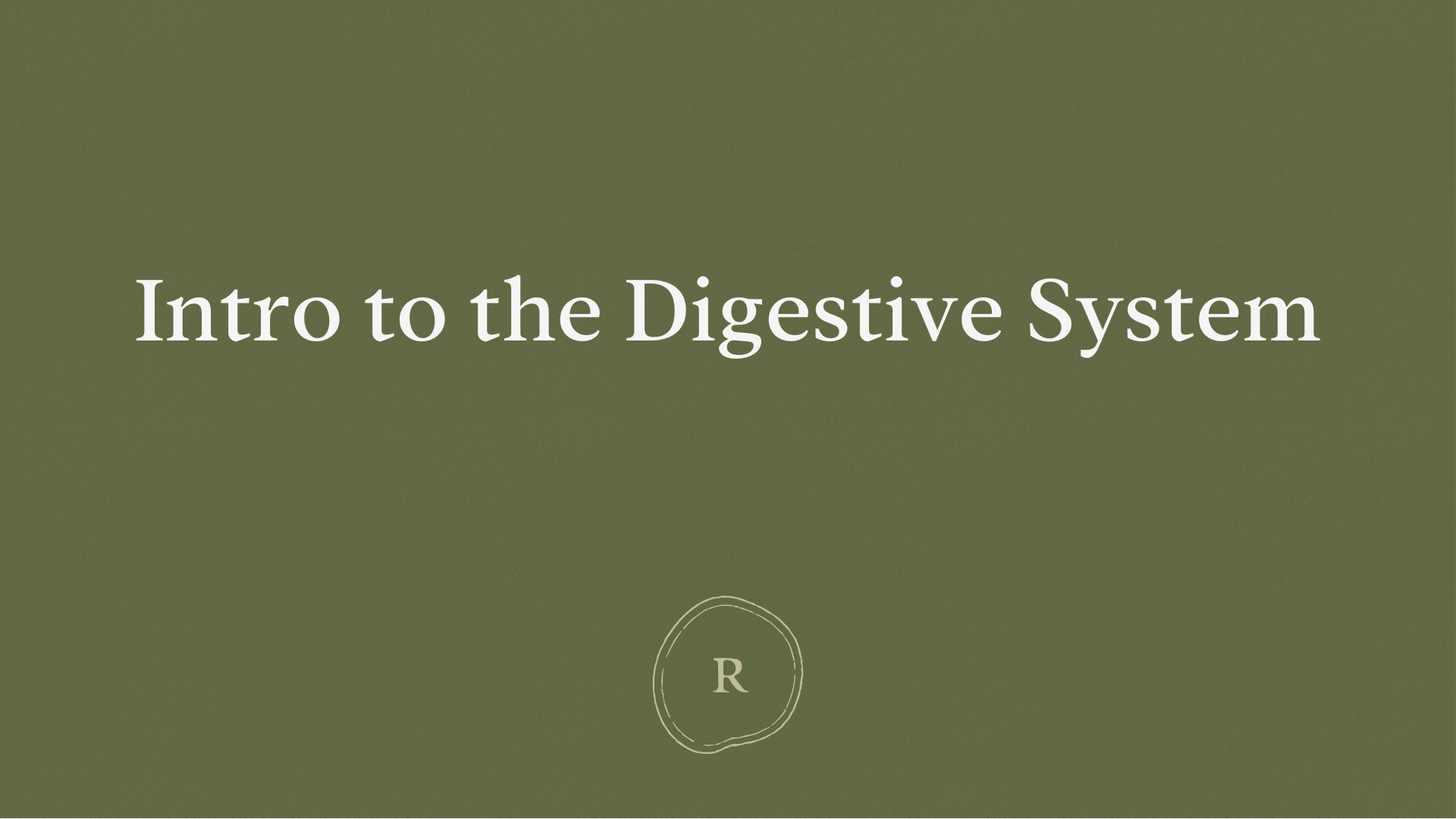 Intro to the Digestive System