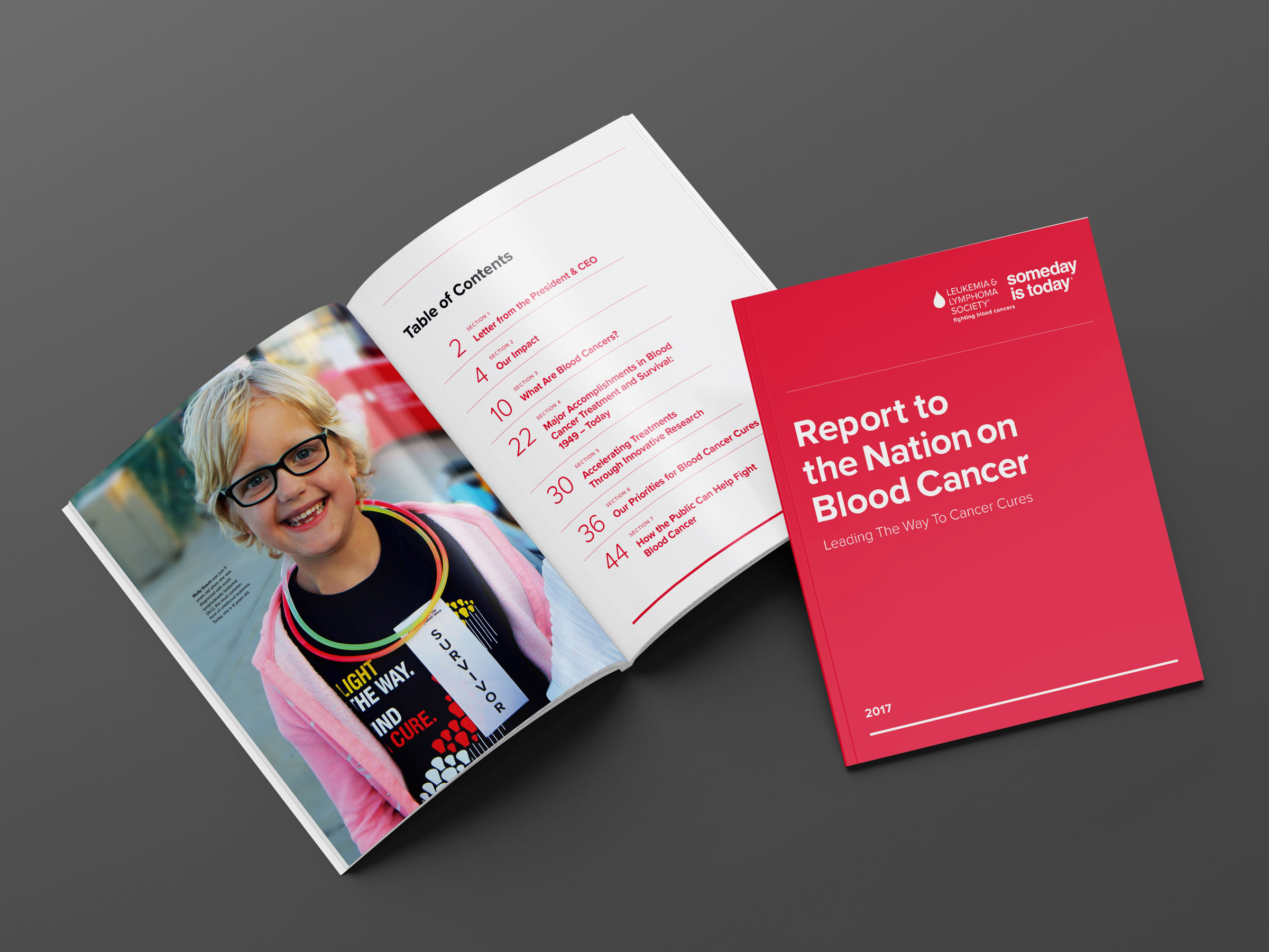 LLS Report to the Nation Table of Contents Spread
