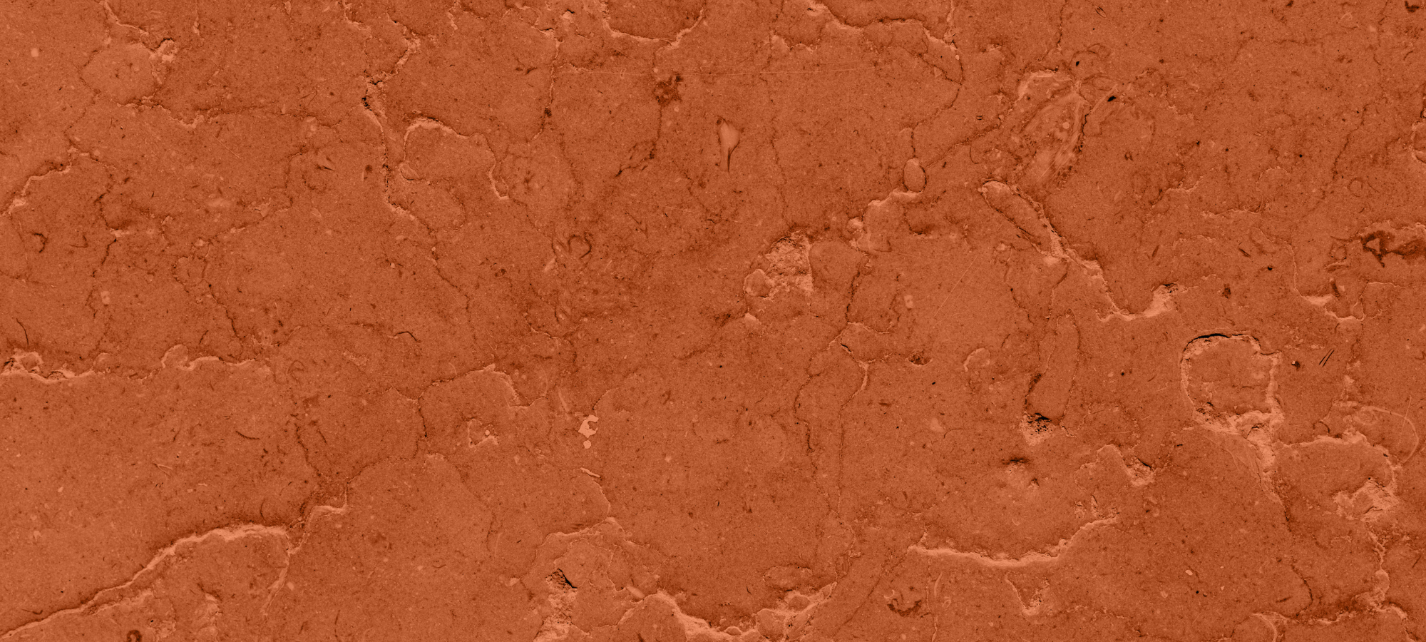 The Certainty Reflex