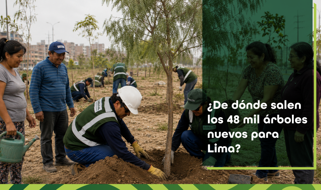 por-que-48000-arboles