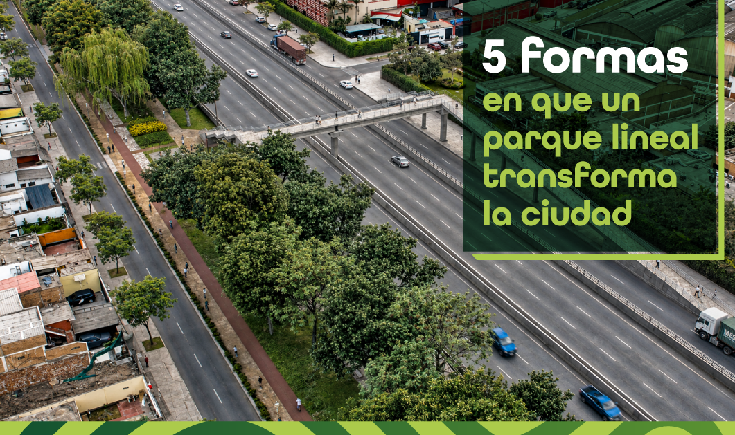 parque lineal 