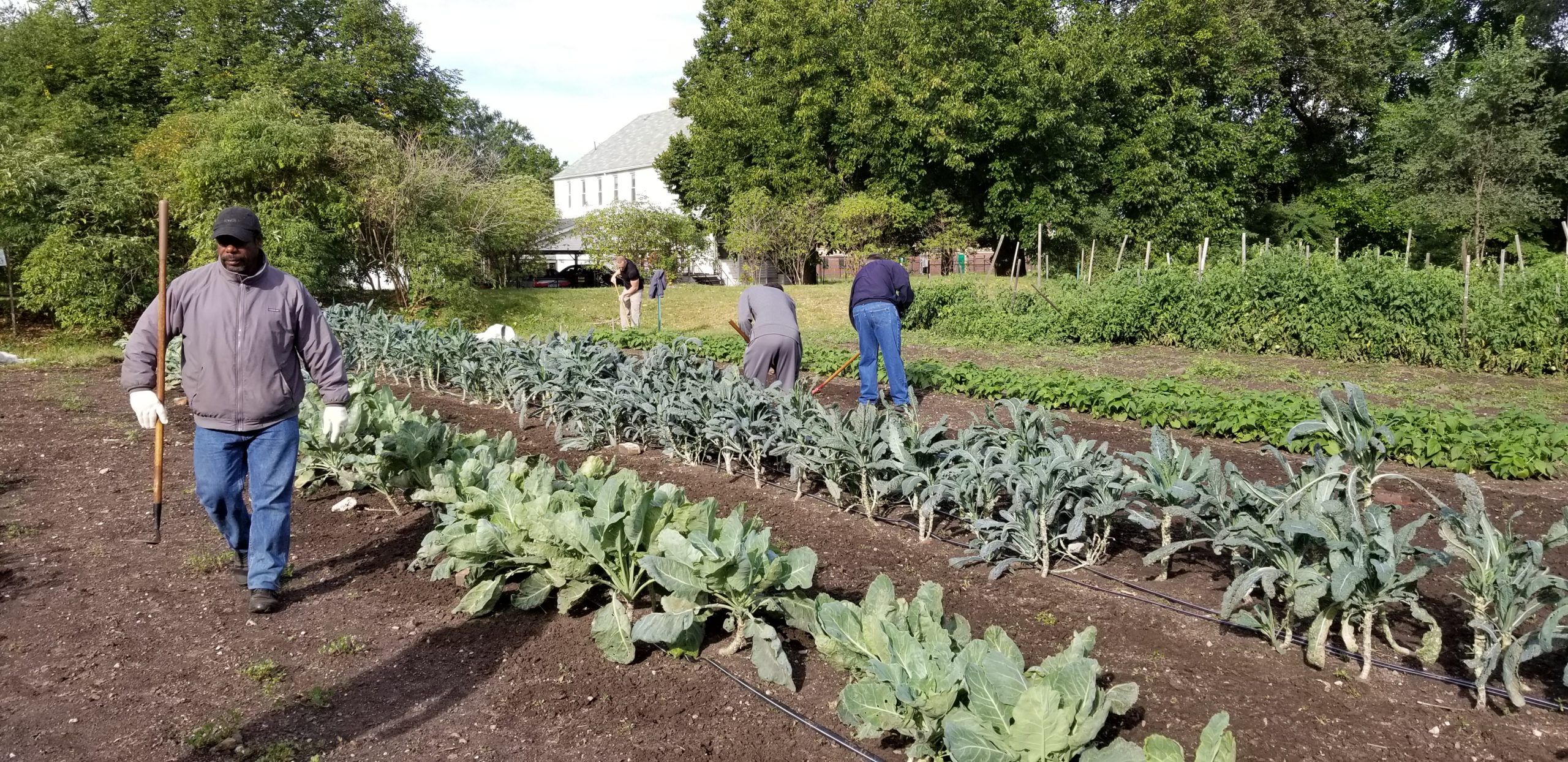Team Roncelli Lends A Helping Hand