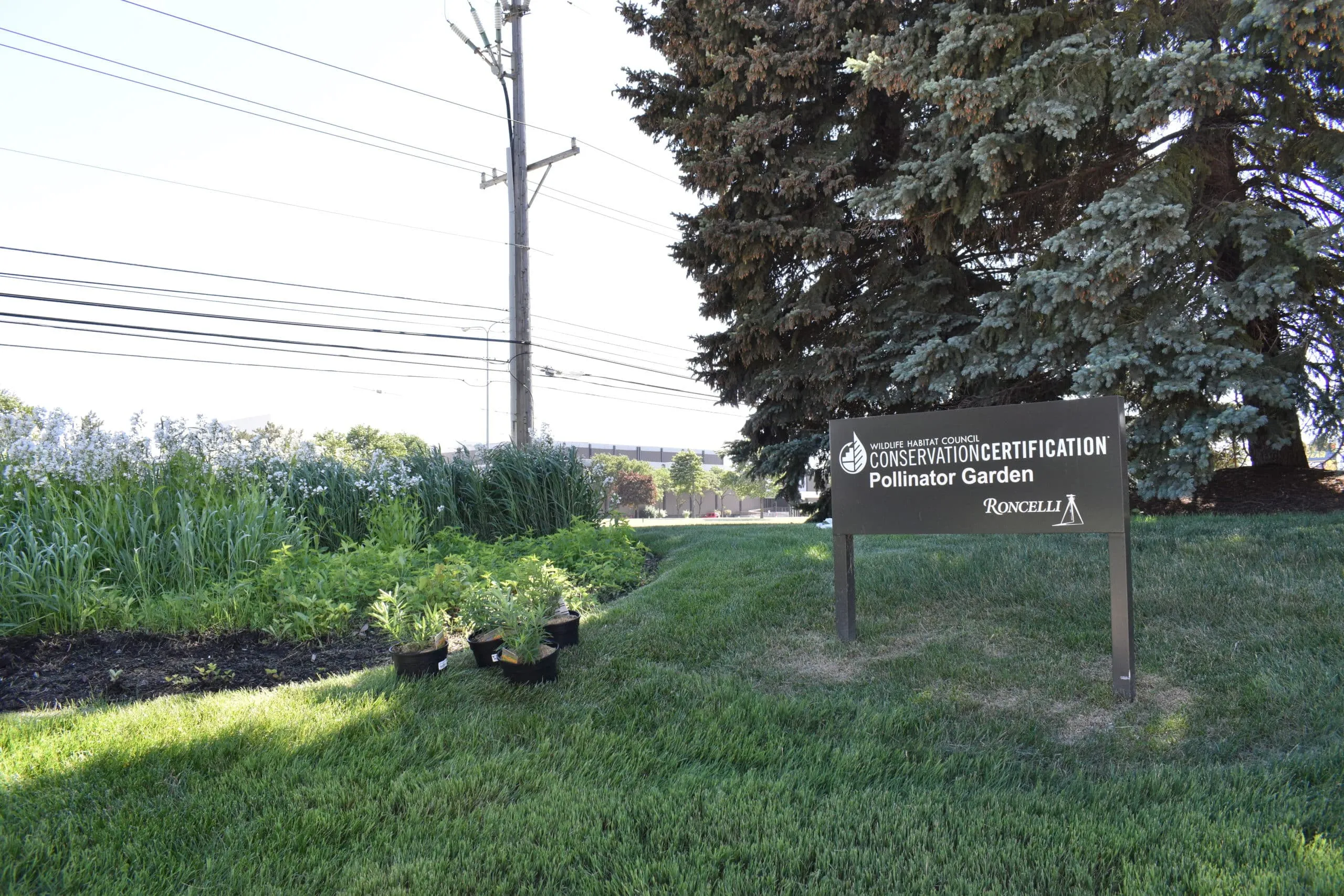 Digging into the Roncelli Wildlife Habitat Conservation Certification® Pollinator Garden