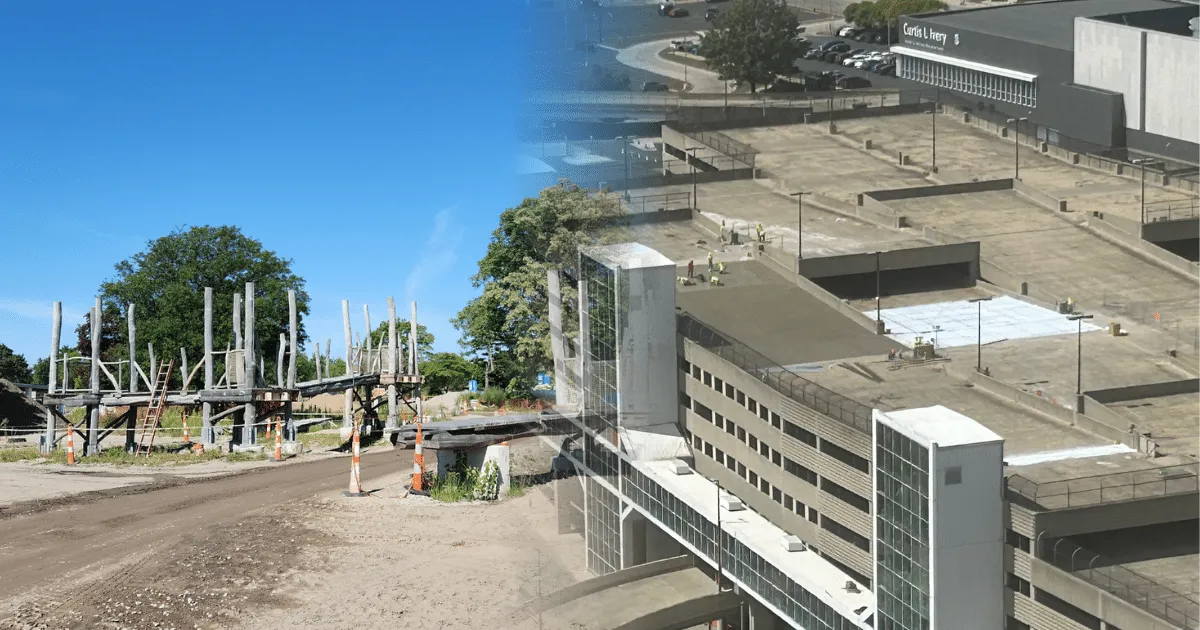 Projects in Motion: Fall Highlights from the Field