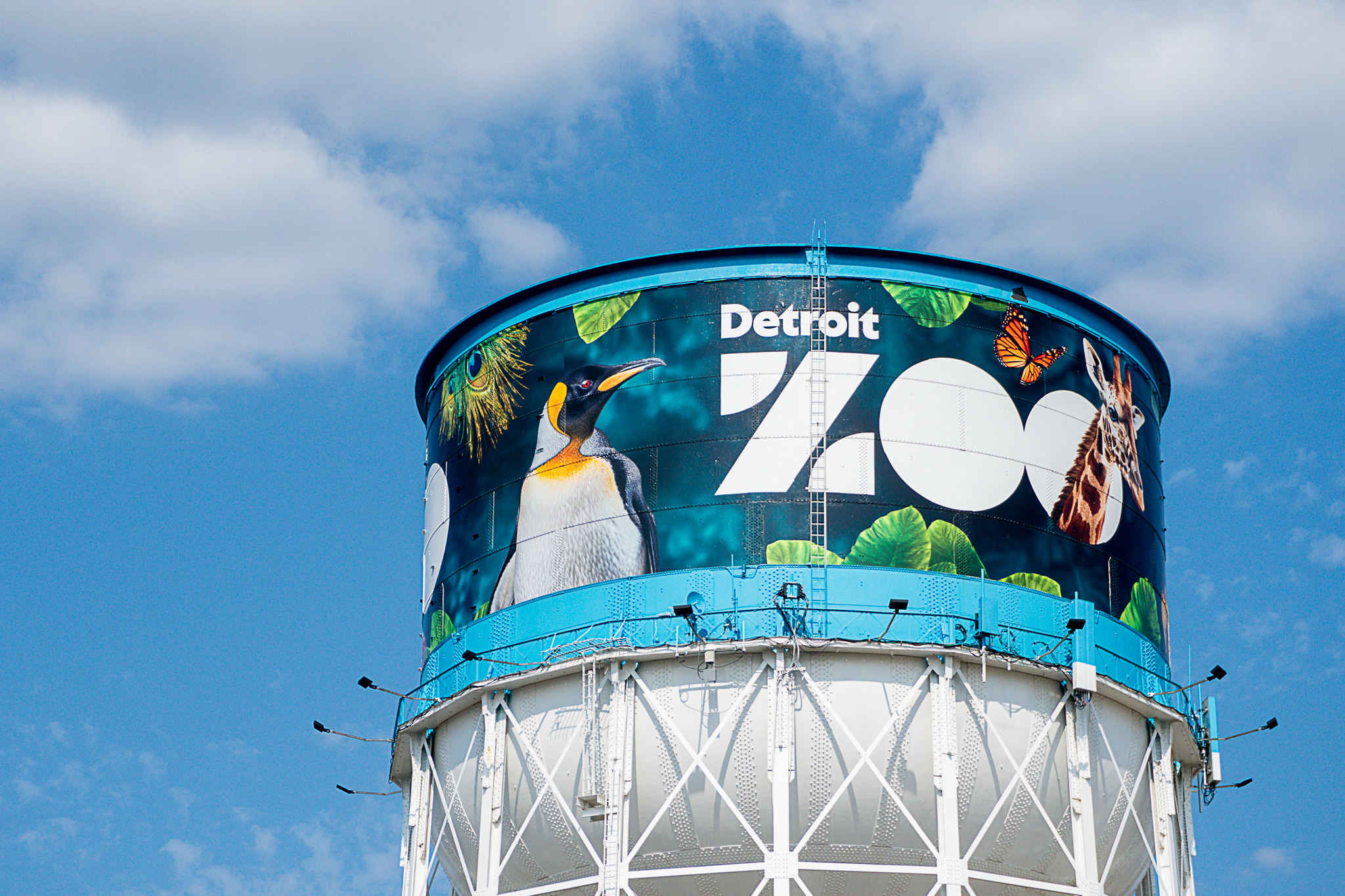 Family & Friends Night at the Detroit Zoo