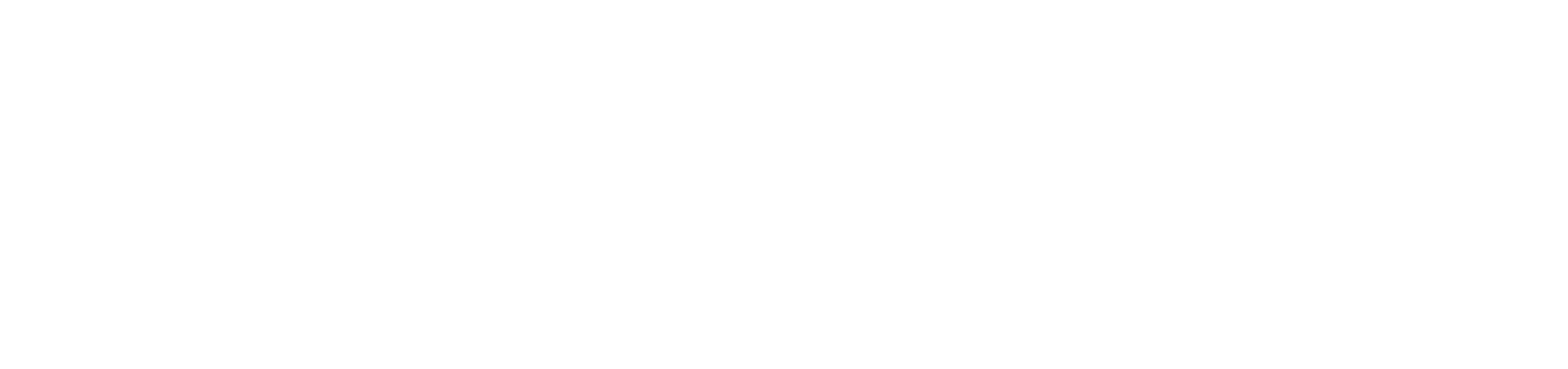 US Army logo