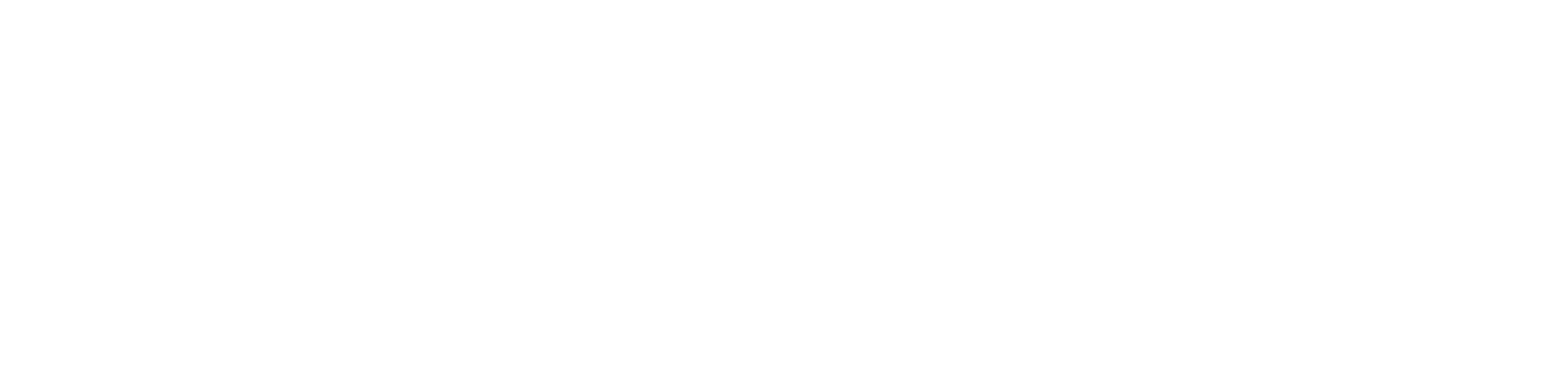 NAI Michael logo