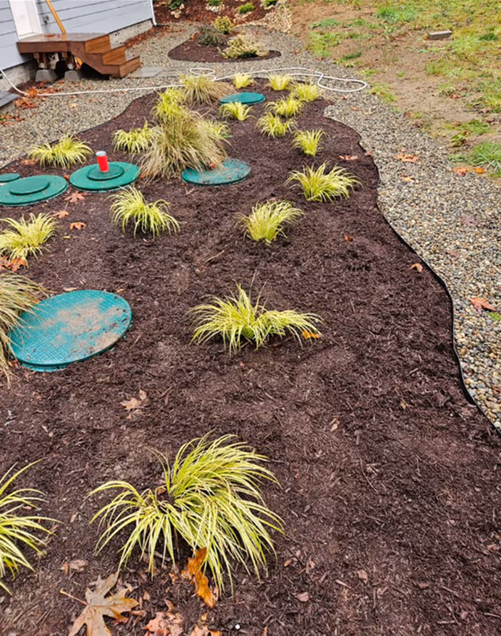 Septic repair in a landscaped area after completion.