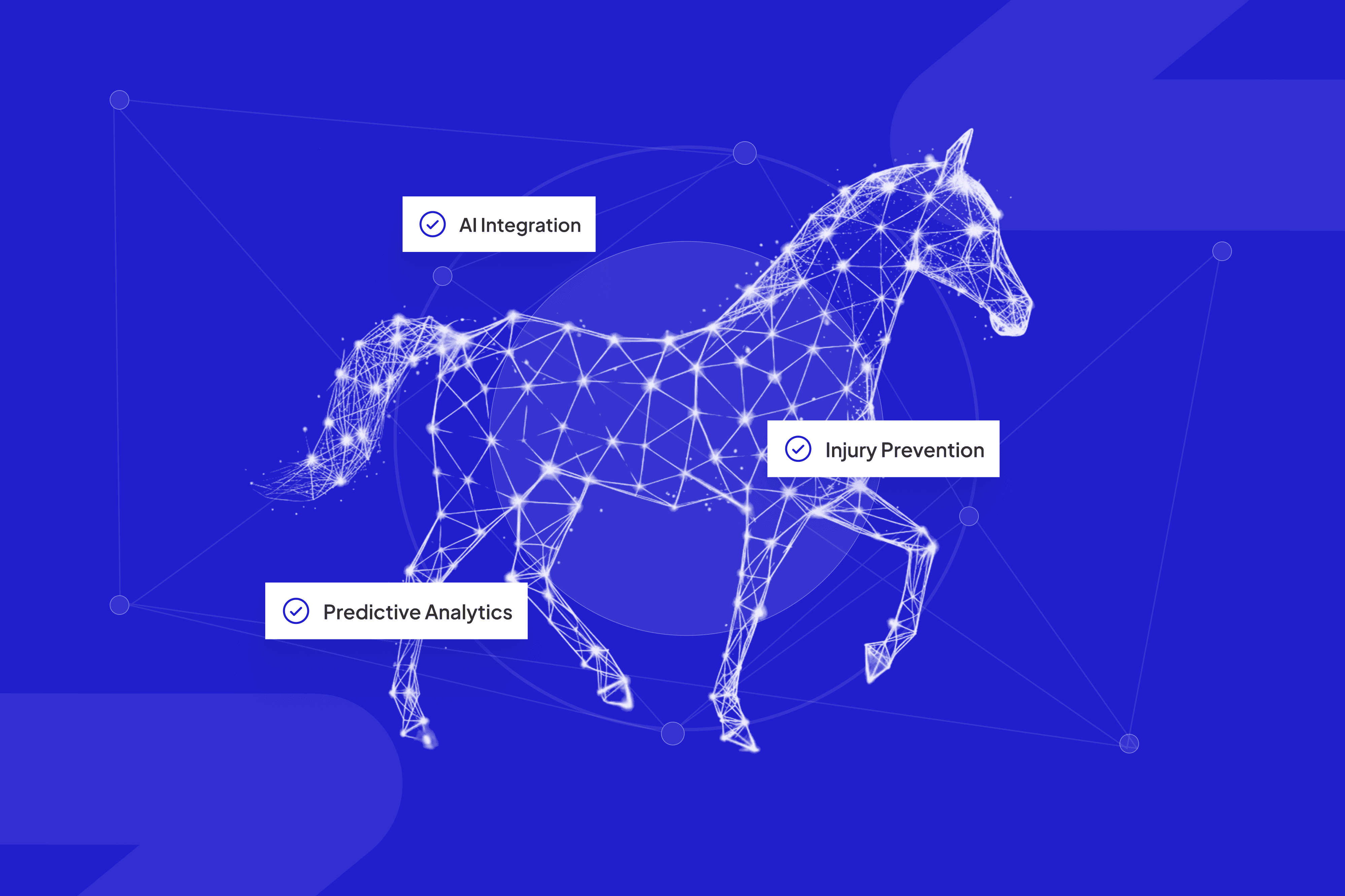 AI-Powered Equine Health Portal | B-Sure Boot x ScaleLabs