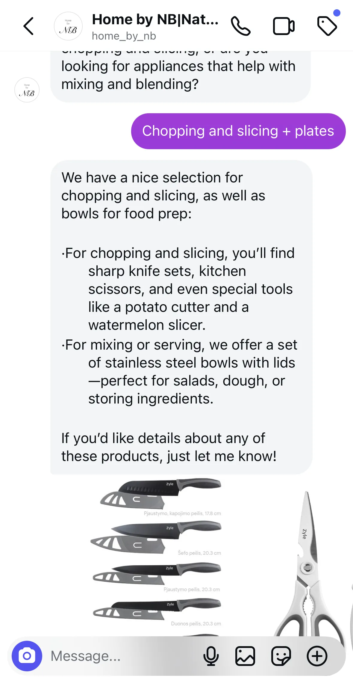 Chat between user and Home by NB AI chatbot on Instagram. AI recommends products for chopping and slicing