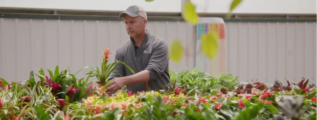 Man wearing a cap tending to colorful tropical plants in a greenhouse.