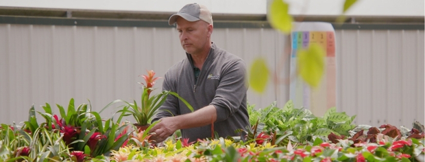 Man wearing a cap tending to colorful plants inside a greenhouse.