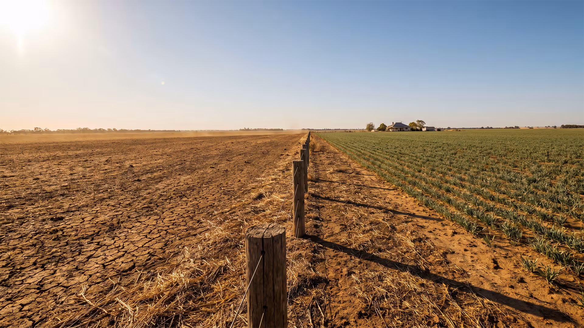 A bare paddock beside a planted field divided by a fence line, illustrating why B2B demand generation infrastructure must be built before hiring another business development manager