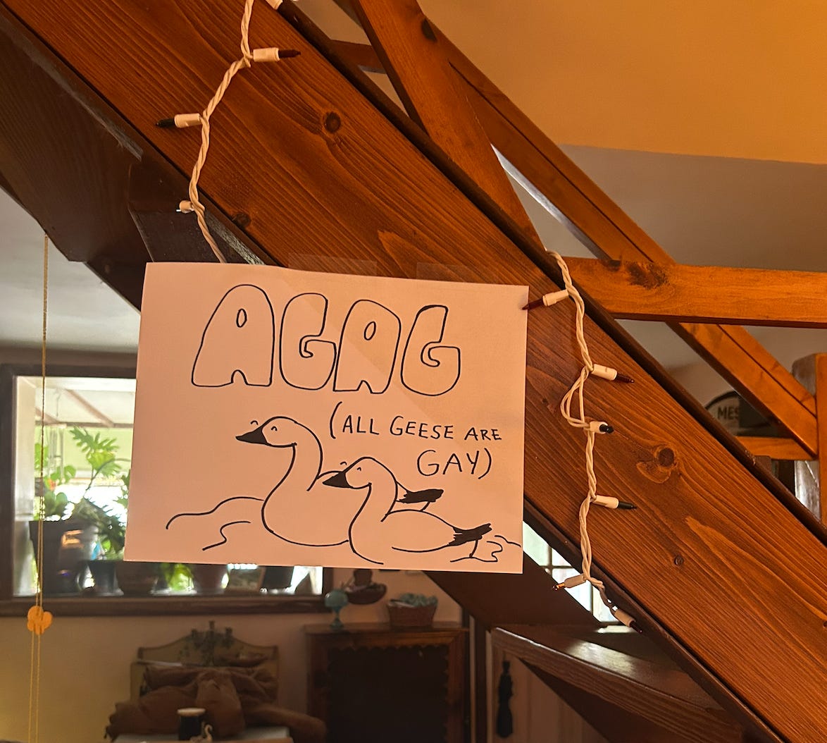 a hand-drawn sign with illustrations of 2 happy geese reads "AGAG (all geese are gay)"