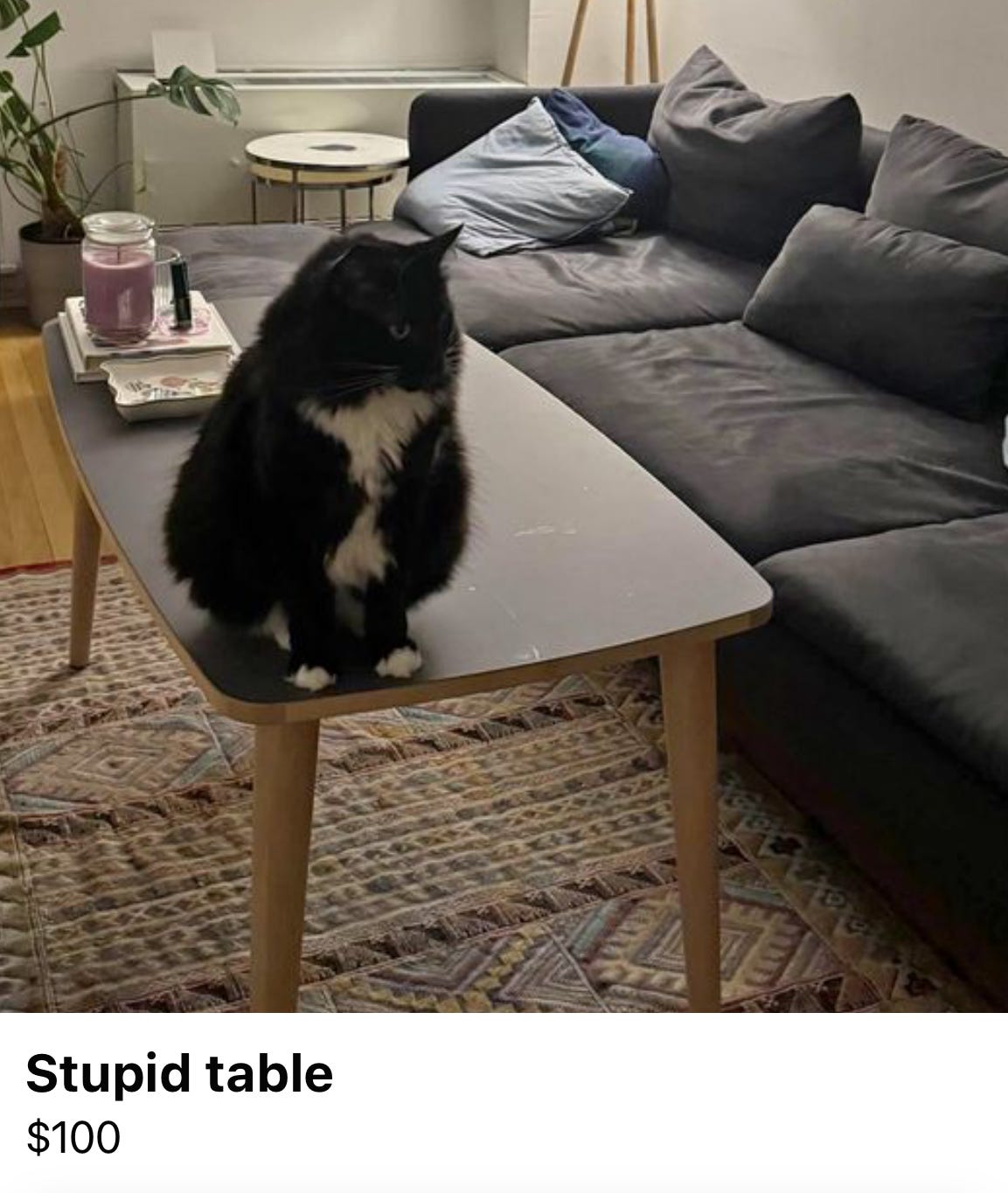 a fluffy black cat perched atop a small table. the listing title is "stupid table."