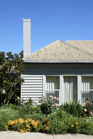 White house exterior with corrugated roof, side chimney, and garden with various flowers and shrubs under a clear blue sky.