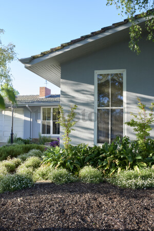 Gray house with a large window and a garden with green plants and white flowers in front under a clear blue sky.