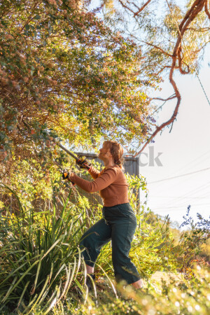 Woman wearing gloves trimming a bush in a sunlit garden.