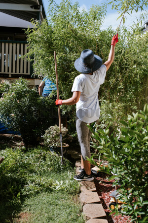 Person wearing a wide-brim hat and gloves gardening with a rake among green bushes and plants in a sunny backyard.