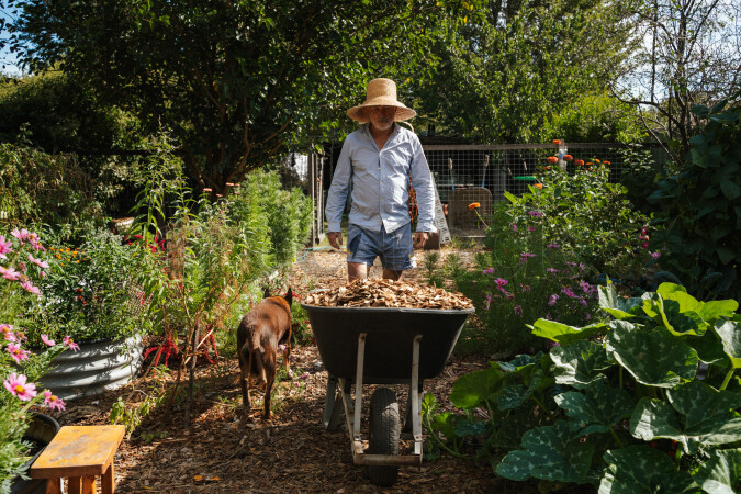 Man wearing a straw hat and light clothing pushing a wheelbarrow filled with leaves down a garden path, accompanied by a brown dog.