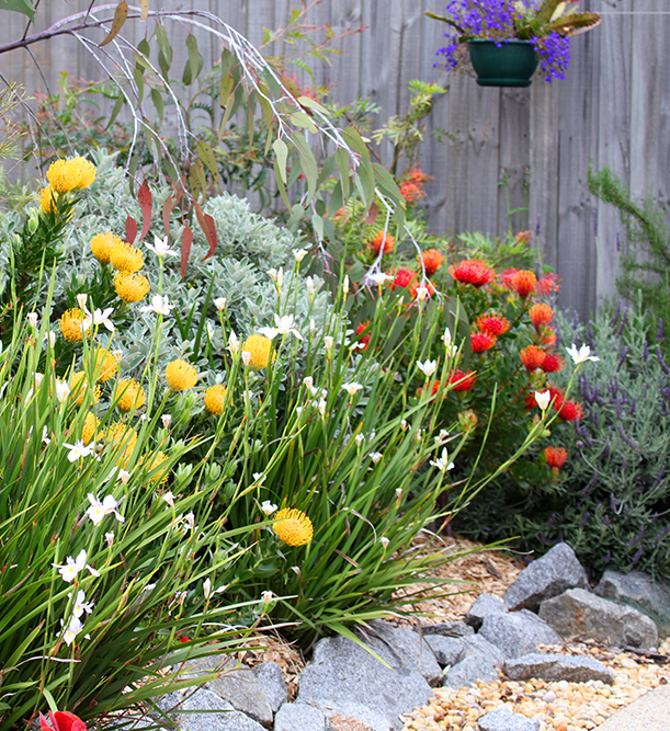 Person wearing a wide-brim hat and gloves gardening with a rake among green bushes and plants in a sunny backyard.