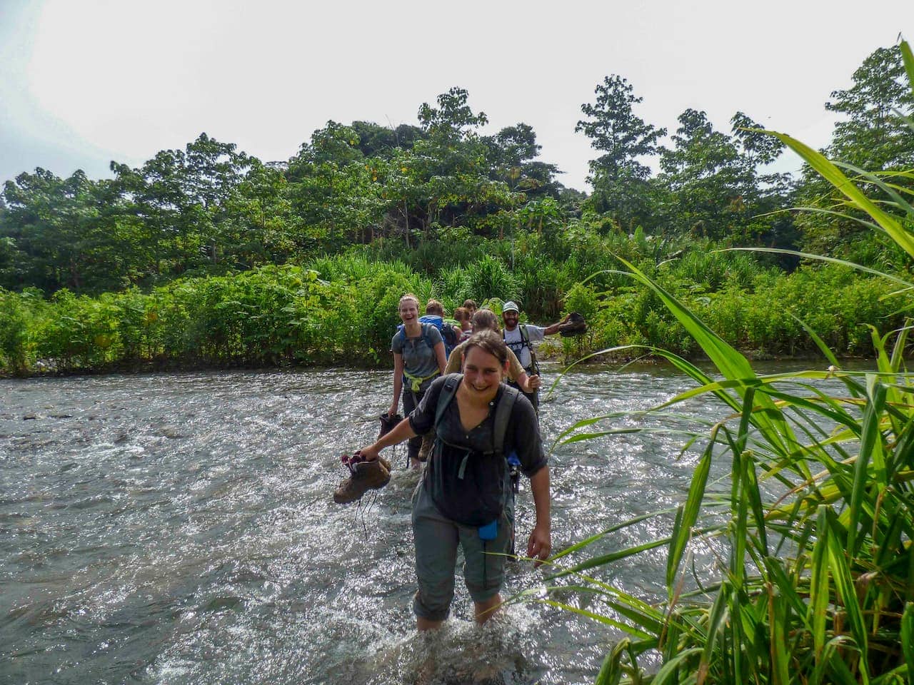 Group of hikers trekking through a lush, tropical rainforest river