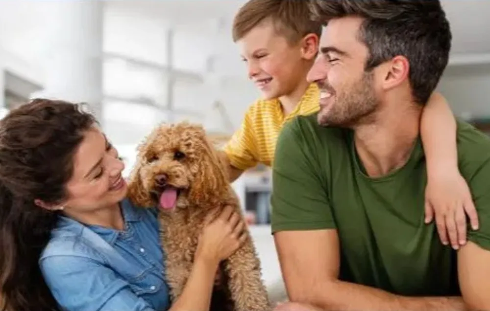 Smiling family of woman, man, and young boy holding and petting a happy brown curly-haired dog indoors.