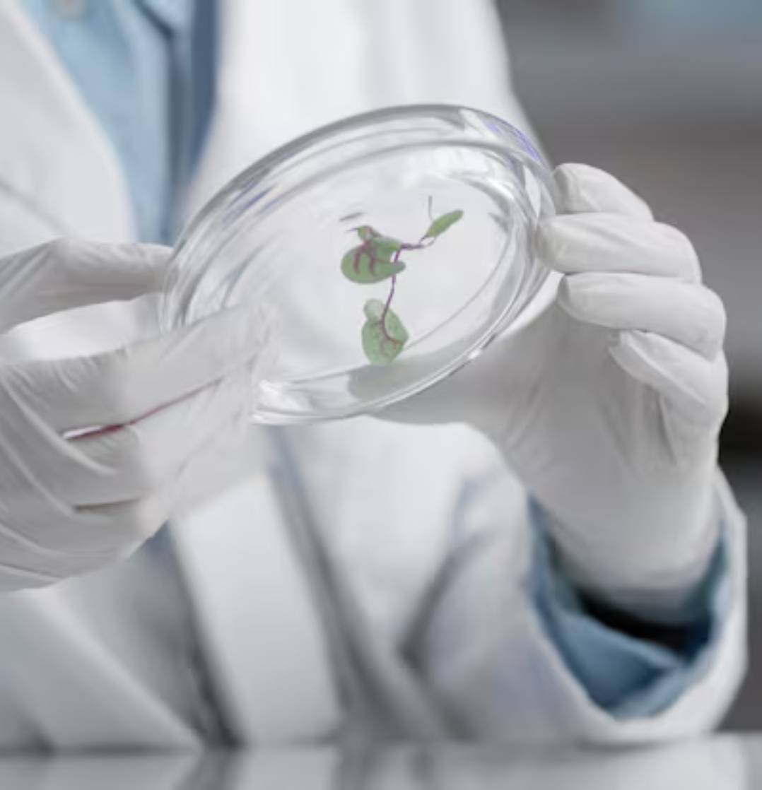 Umapathy Sundaram - Bioengineering at Johns Hopkins