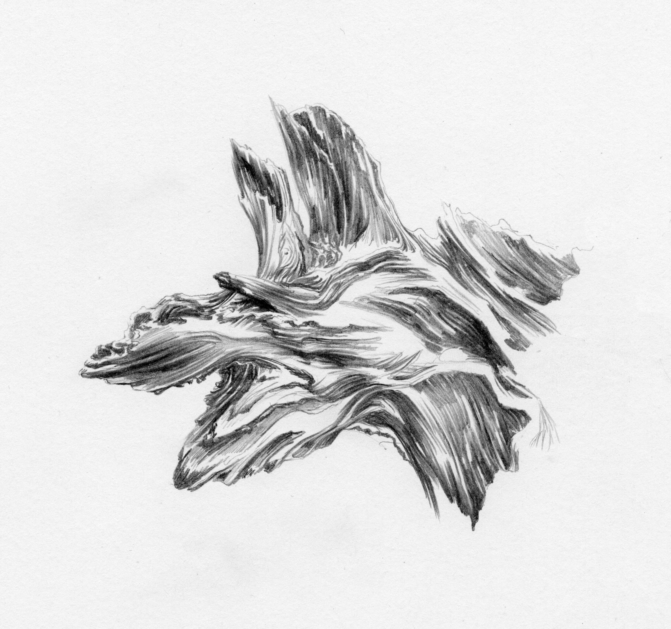 Pareidolia Art Installation