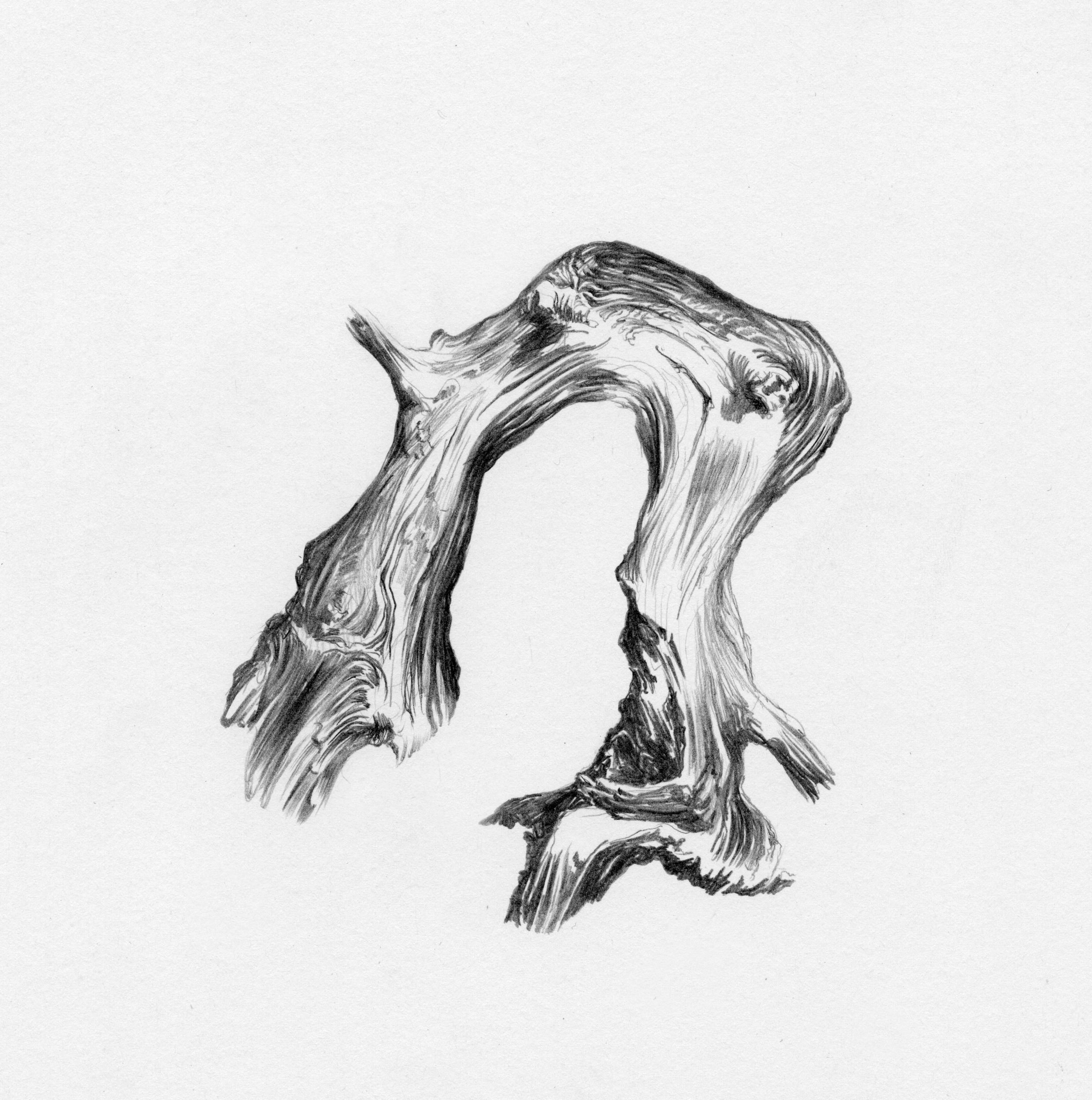 Pareidolia Art Installation