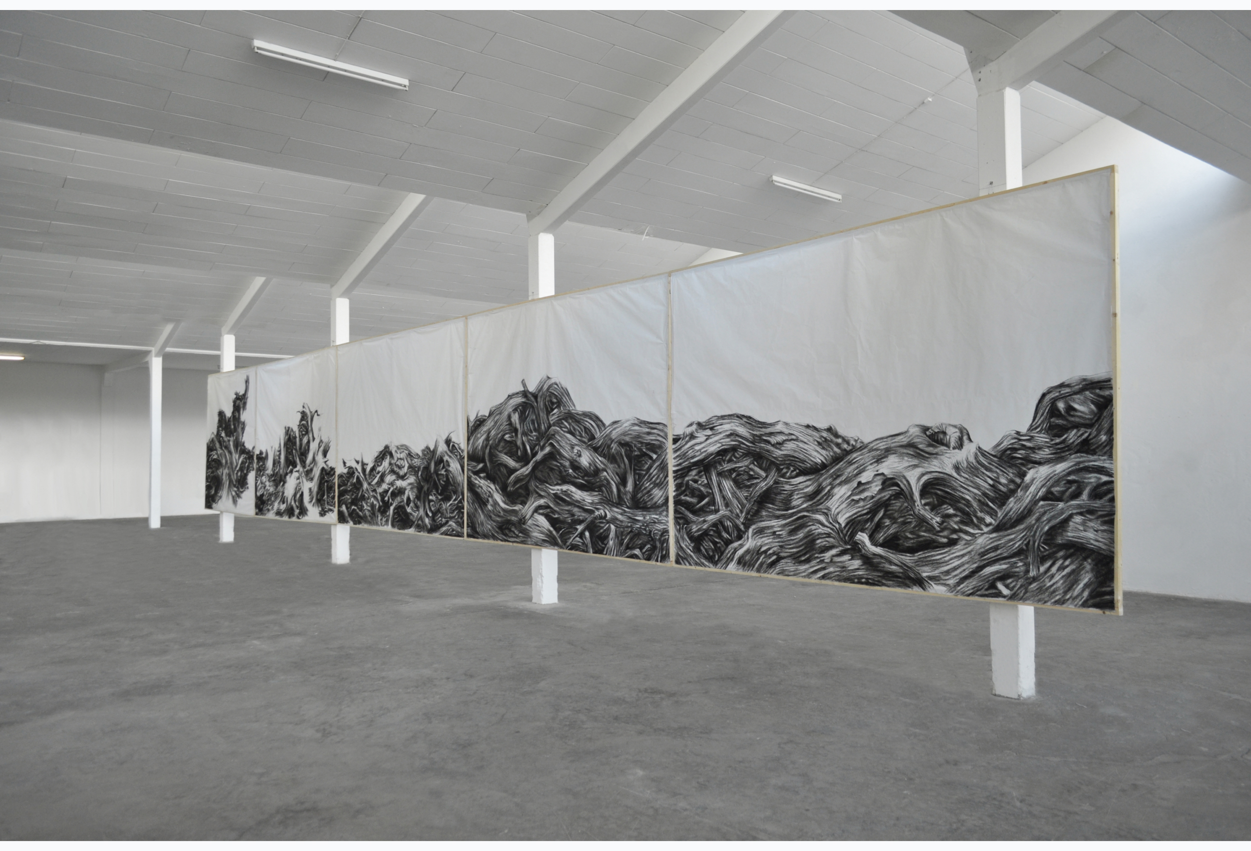 Pareidolia Art Installation