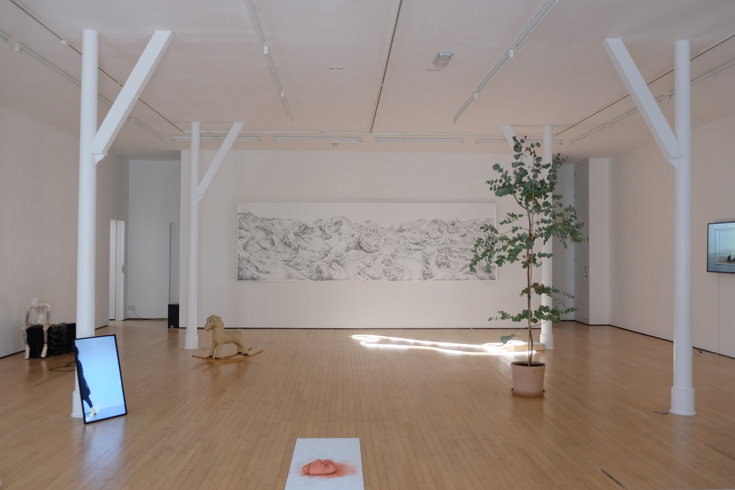 Nutshell Art installation