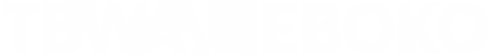 TBWA NEBOKO logo white on transparant background