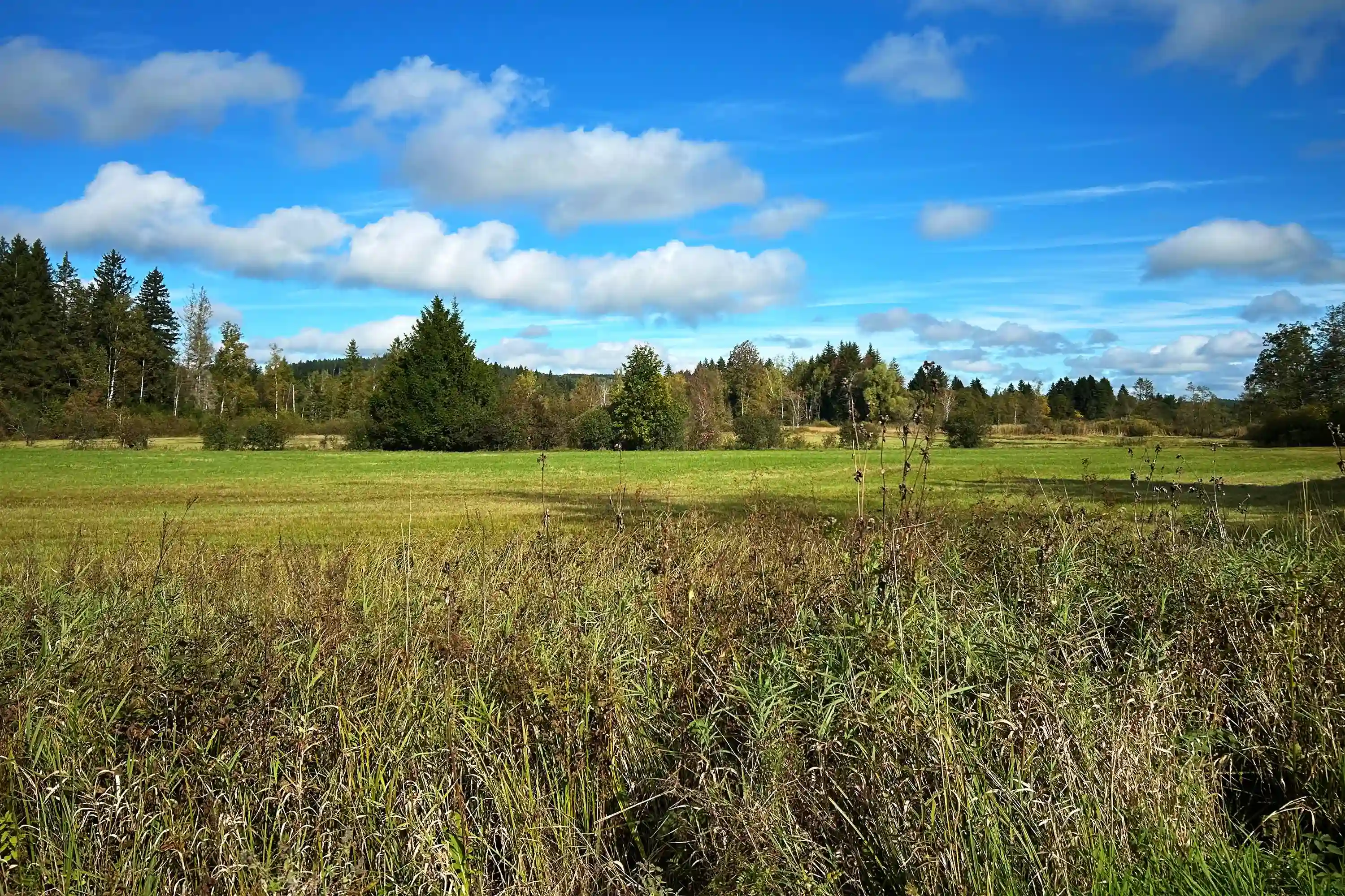 Weite Moorlandschaft unter wolkenblauem Himmel.