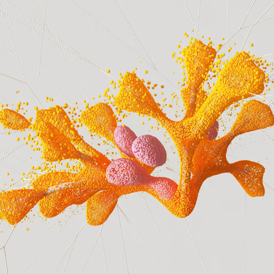 Orange coral-like structure with three pink oval shapes attached, set against a light background.