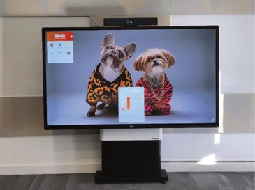 Two small dogs wearing patterned jackets appear on a large flat screen TV in a room.