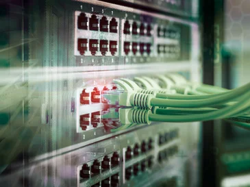 Close-up of green Ethernet cables plugged into a network switch panel with ports.