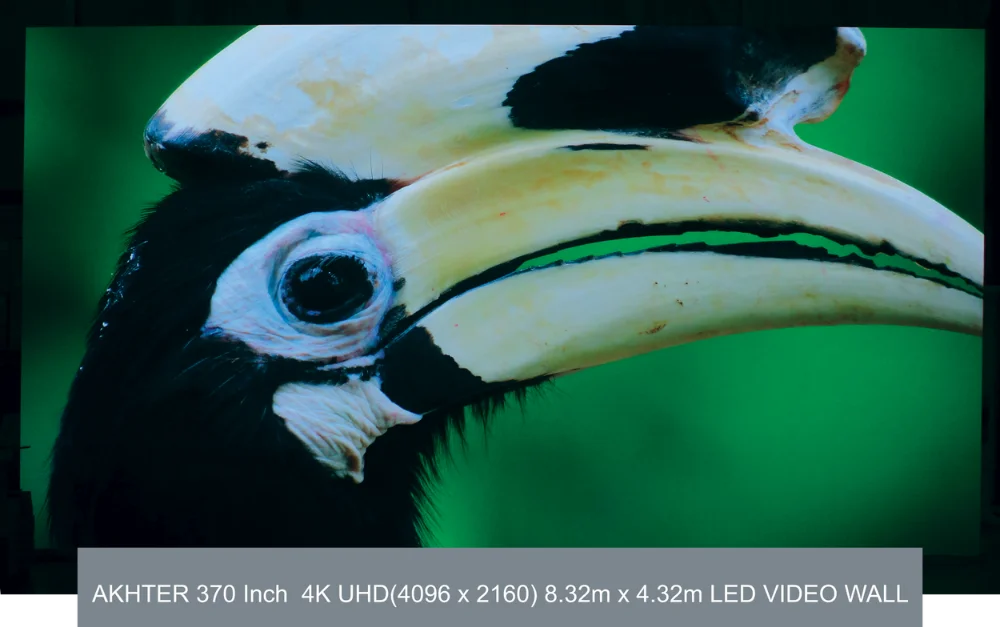 Close-up of a hornbill bird head with a large curved yellow beak on a green background.