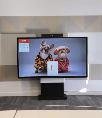 Two dogs wearing colorful hoodies displayed on a large wall-mounted screen in a modern room.