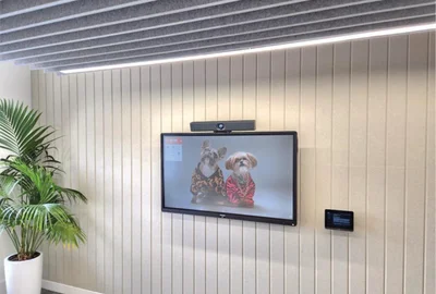 Two small dogs wearing clothes on a video call screen mounted on a beige wall with a plant nearby.