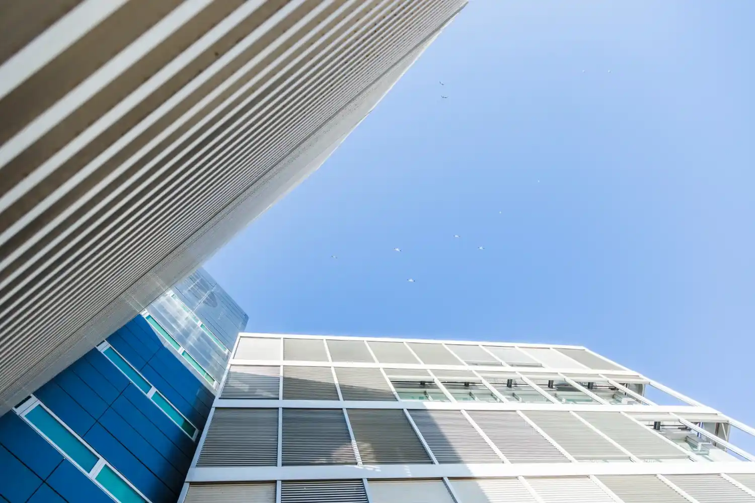 Experience serving institutional investors